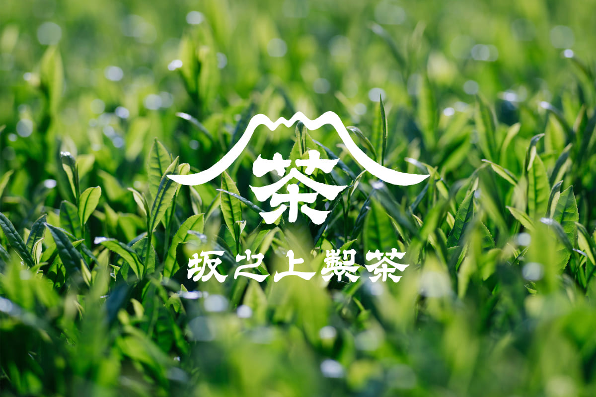 有限会社坂之上製茶