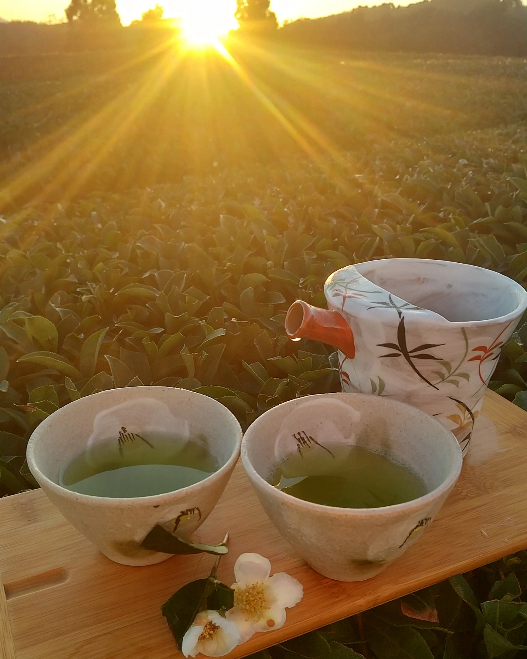 鹿児島市福山茶団地からの日の出